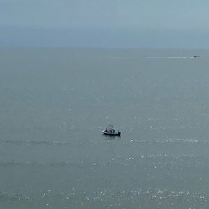 Meet your Posher, Ricky